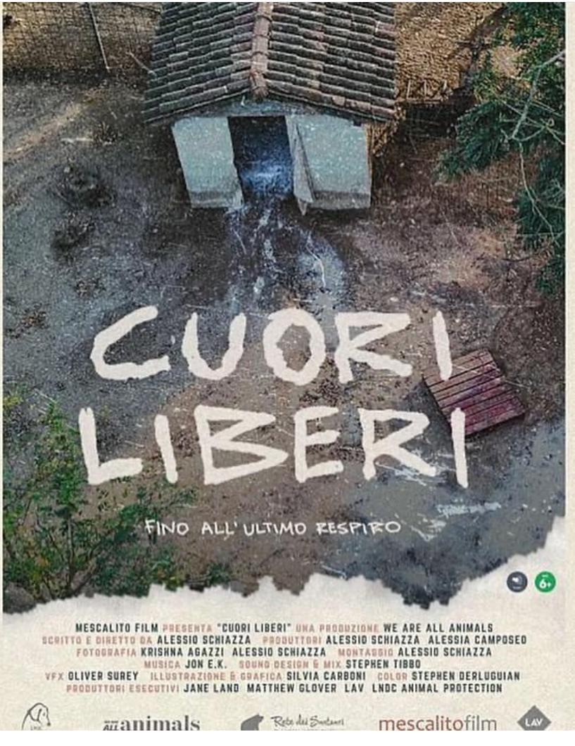 Locandina del film "Cuori liberi"